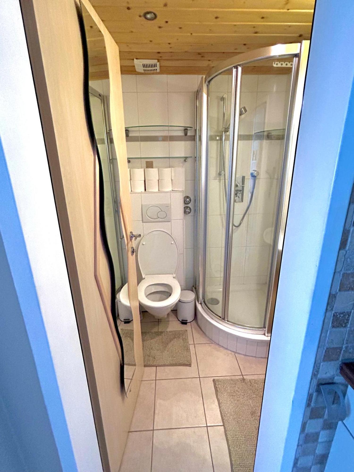 Alpine Apartment Schladming Mit Sauna Und Pool Luaran gambar